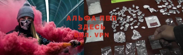 ГАЛЛЮЦИНОГЕННЫЕ ГРИБЫ Инта