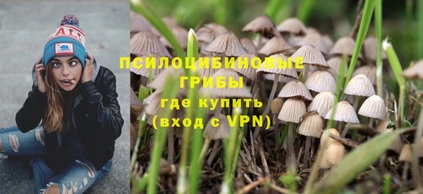 соль ск Зеленодольск