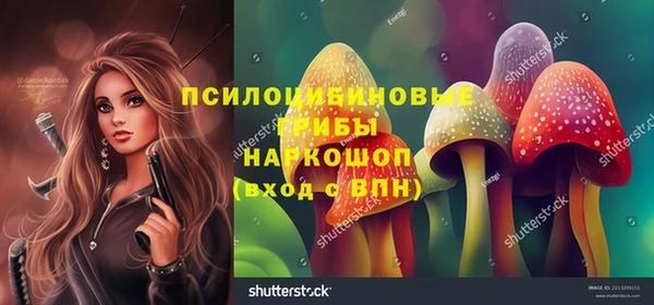 ГАЛЛЮЦИНОГЕННЫЕ ГРИБЫ Инта