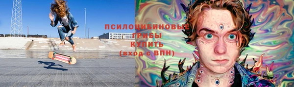 ГАЛЛЮЦИНОГЕННЫЕ ГРИБЫ Инта
