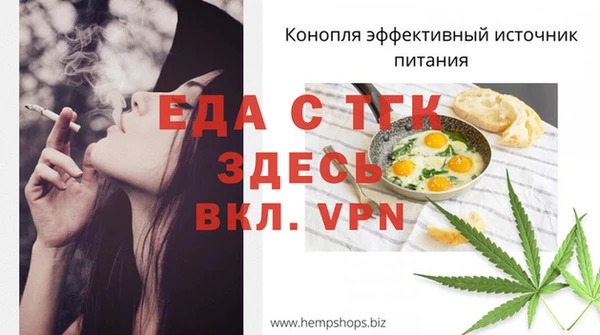 ГАЛЛЮЦИНОГЕННЫЕ ГРИБЫ Инта