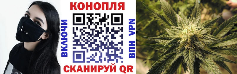 Марихуана гибрид  как найти   Староминская 